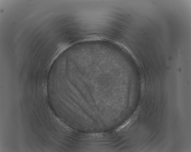 X0000073411409200608251513