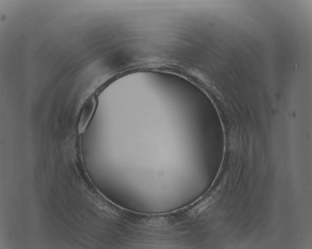 X0000073411410200608251513