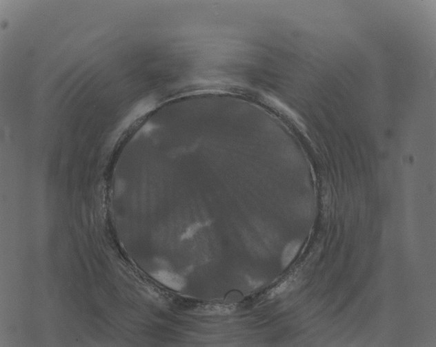 X0000073411411200608251513