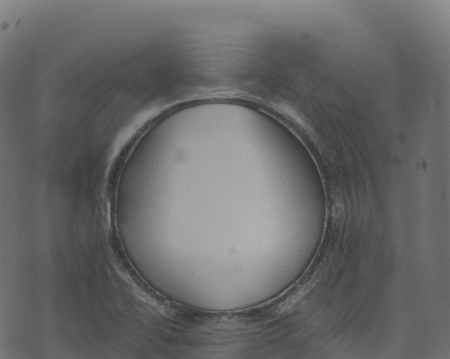 X0000073411414200608251513