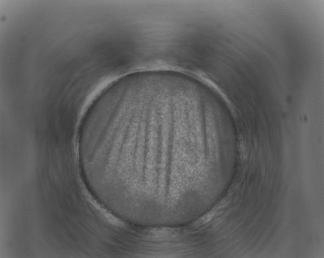 X0000073411416200608251513