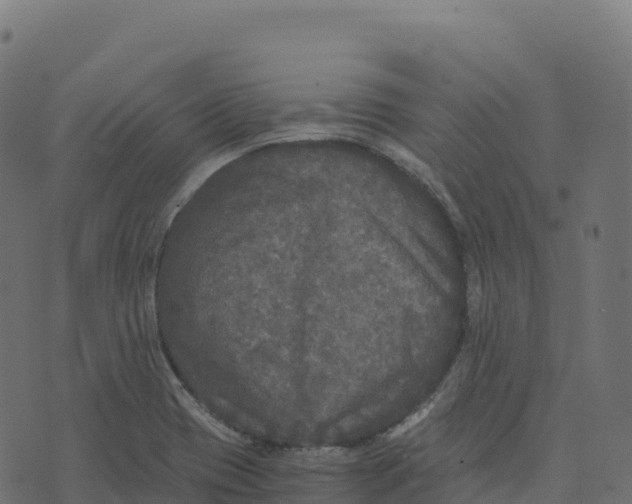 X0000073411417200608251513