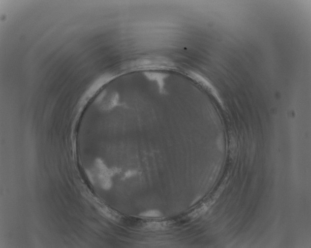 X0000073411419200608251513