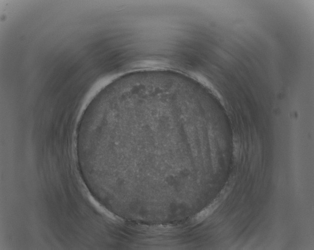 X0000073411421200608251513