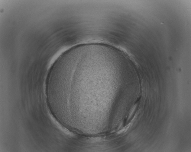 X0000073411422200608251513