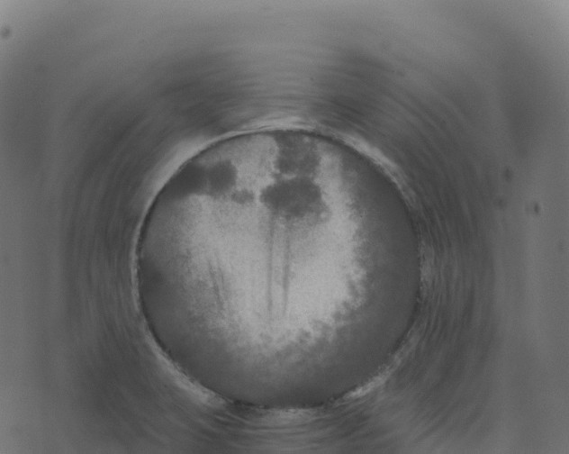 X0000073411423200608251513