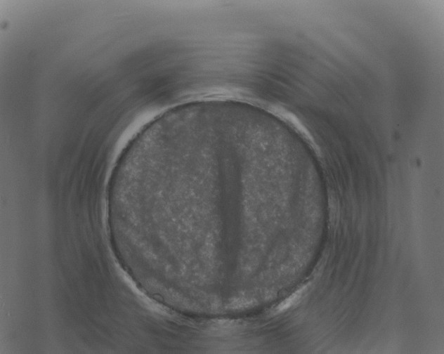 X0000073411424200608251513