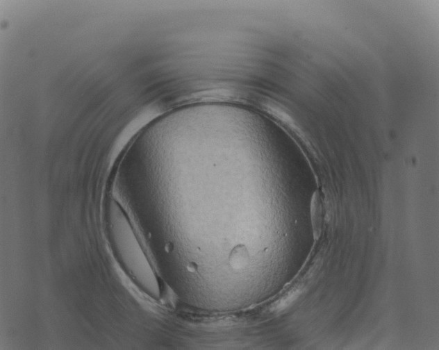 X0000073411426200608251513