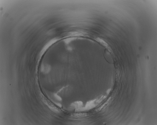 X0000073411427200608251513