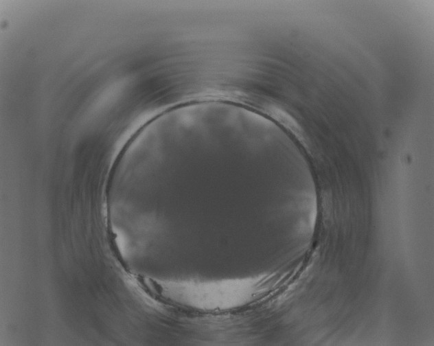 X0000073411428200608251513