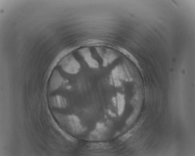 X0000073411429200608251513