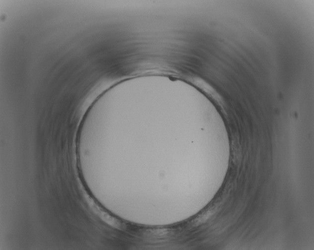 X0000073411431200608251513