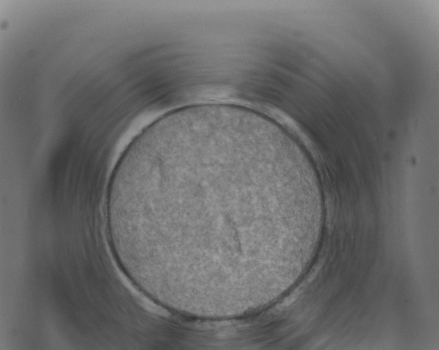 X0000073411432200608251513