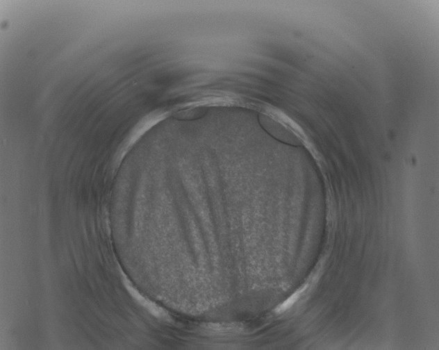 X0000073411433200608251513