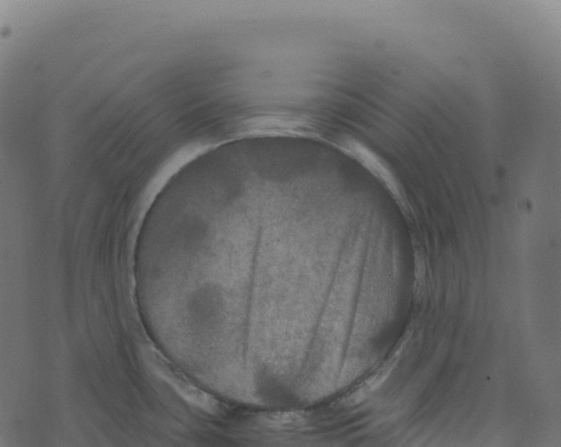 X0000073411435200608251513