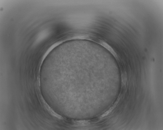 X0000073411436200608251513