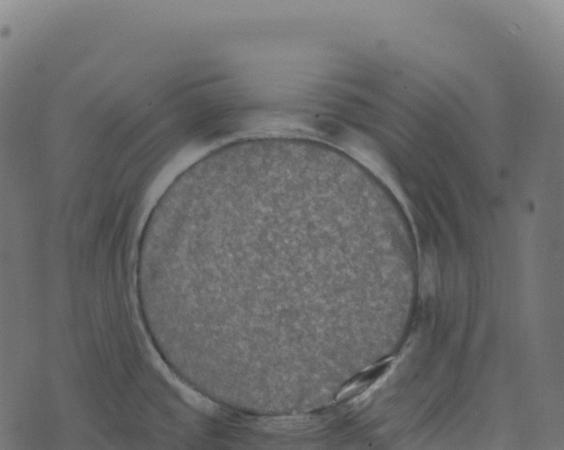 X0000073411437200608251513