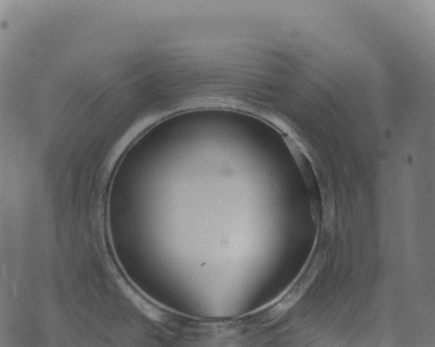 X0000073411438200608251513