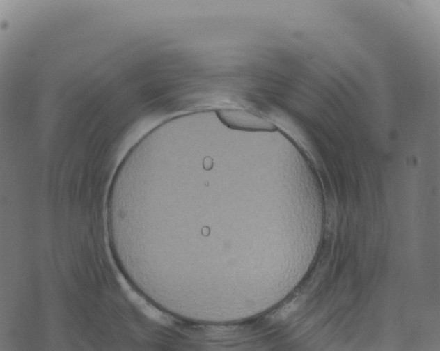 X0000073411439200608251513