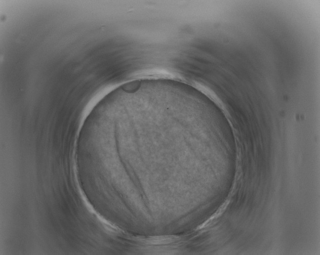 X0000073411440200608251513