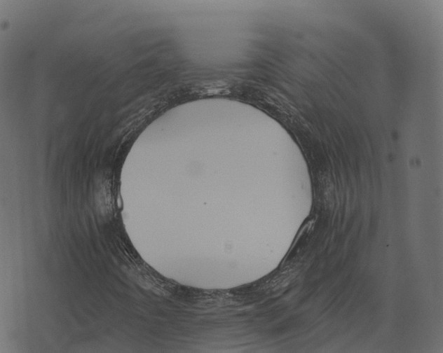 X0000073411442200608251513