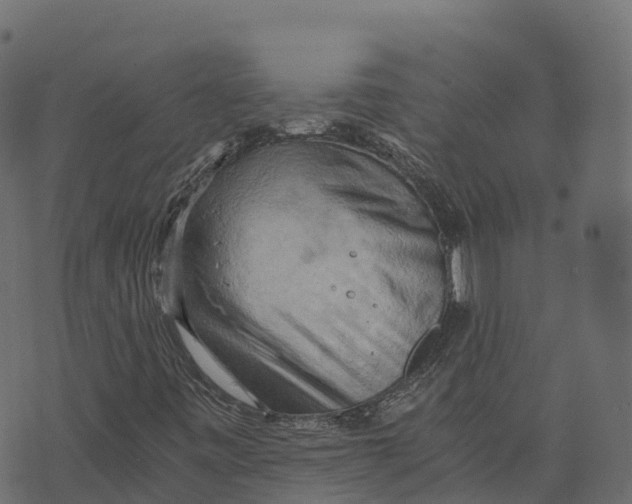 X0000073411443200608251513