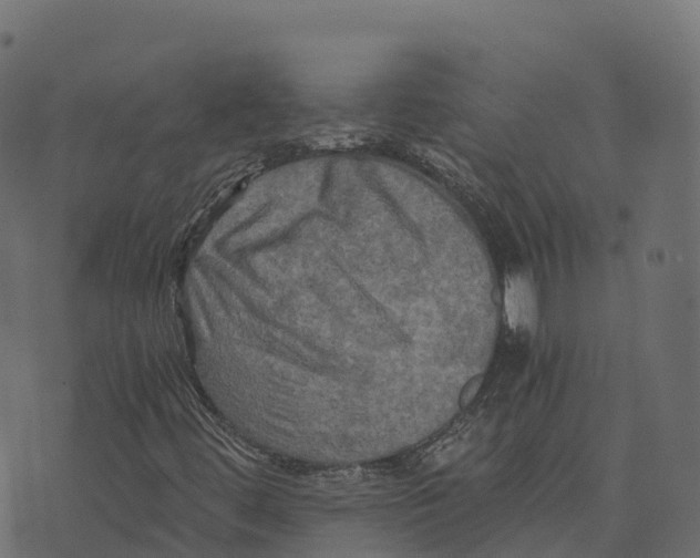 X0000073411444200608251513