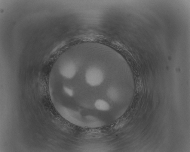 X0000073411446200608251513