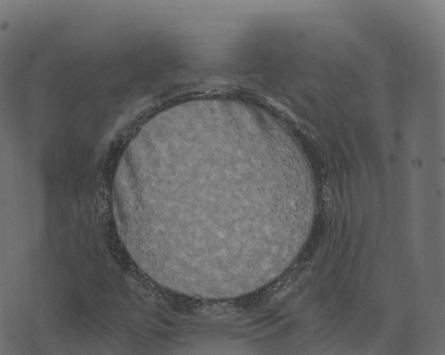 X0000073411447200608251513