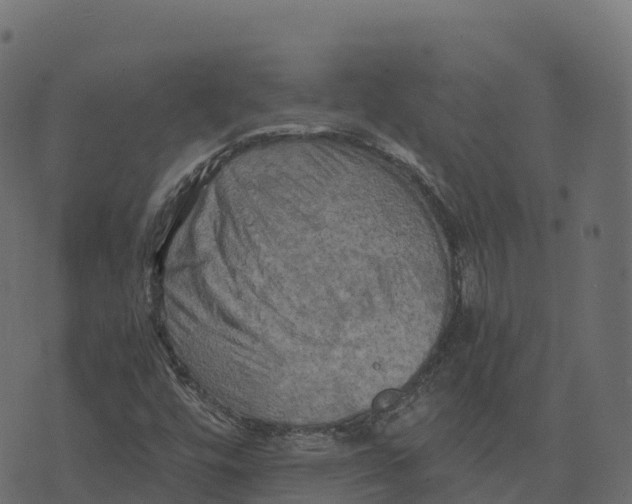 X0000073411448200608251513