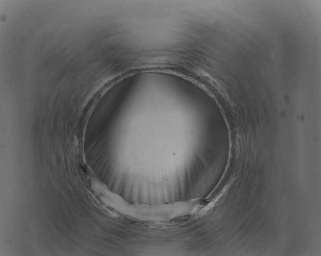 X0000073411449200608251513