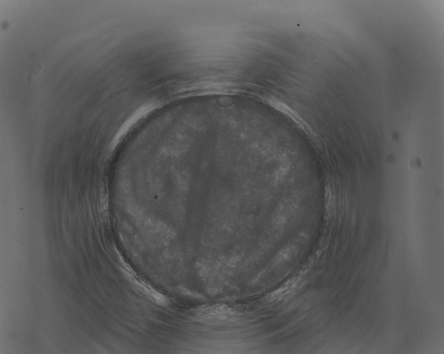 X0000073411450200608251513