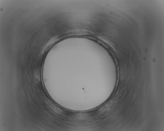 X0000073411451200608251513