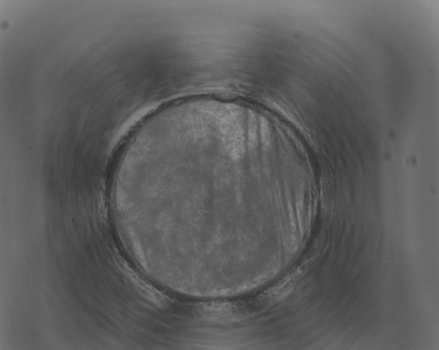 X0000073411452200608251513