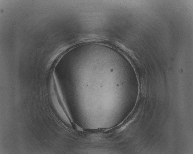 X0000073411453200608251513