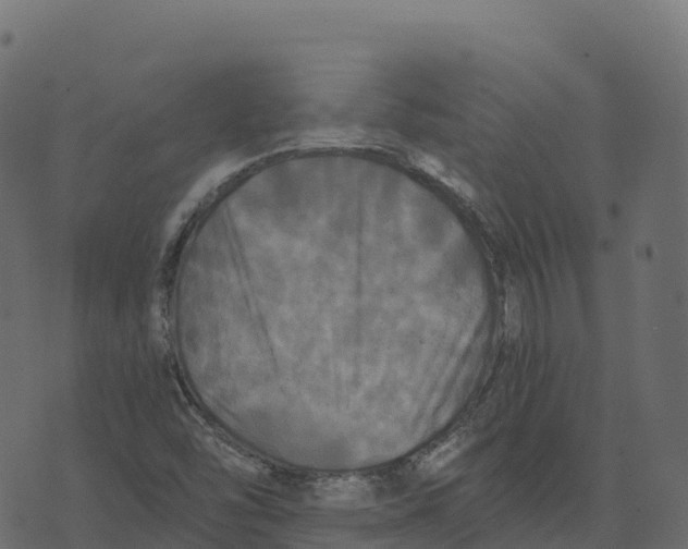 X0000073411454200608251512