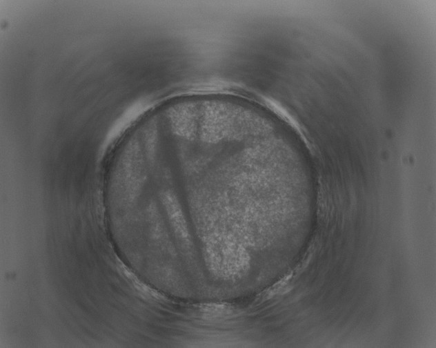 X0000073411456200608251512