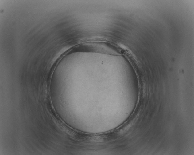 X0000073411457200608251512