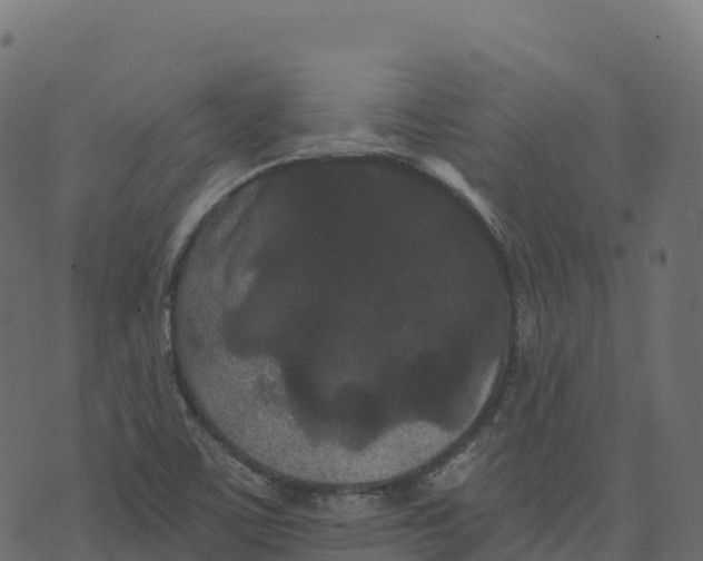 X0000073411459200608251512