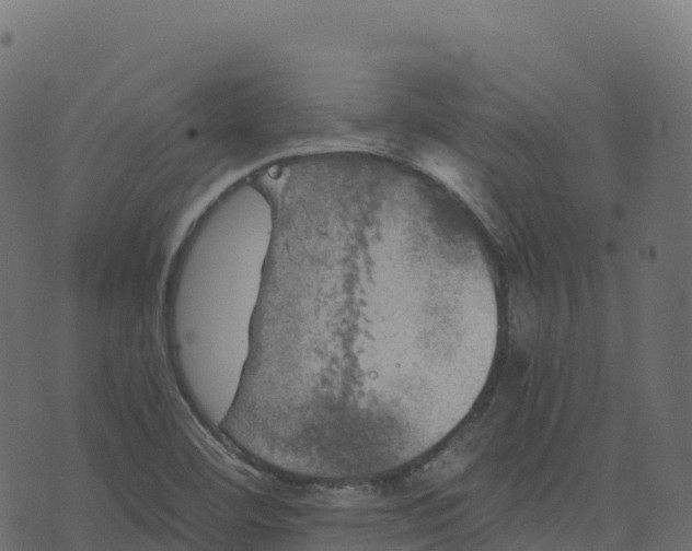 X0000073411460200608251512