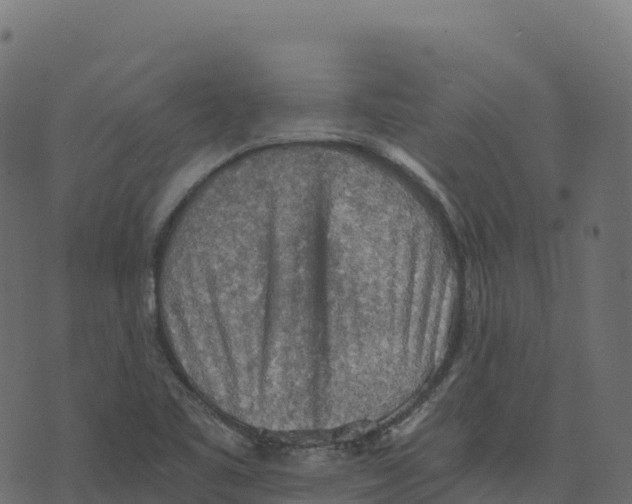 X0000073411461200608251512