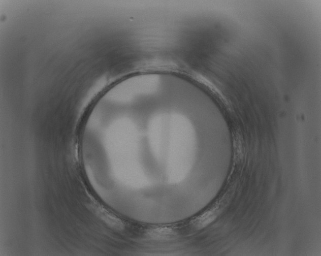 X0000073411462200608251512