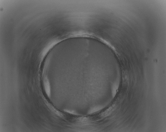 X0000073411463200608251512