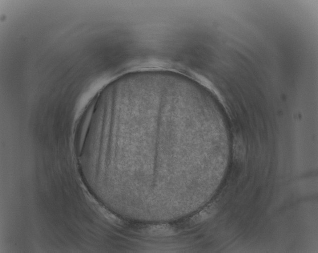 X0000073411464200608251512