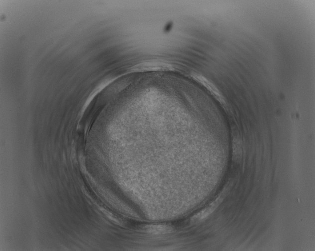 X0000073411465200608251512