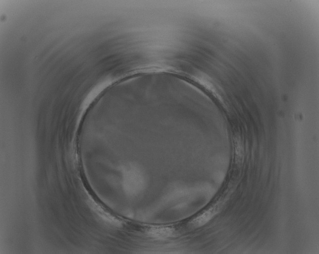 X0000073411466200608251512