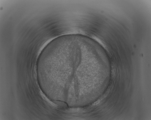 X0000073411468200608251512