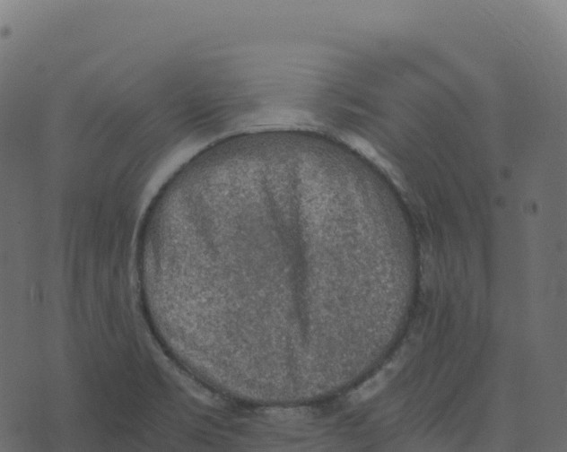 X0000073411469200608251512