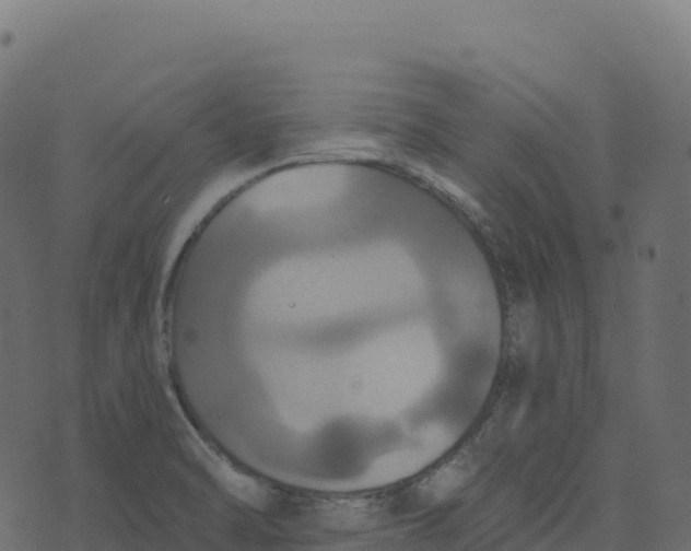 X0000073411470200608251512