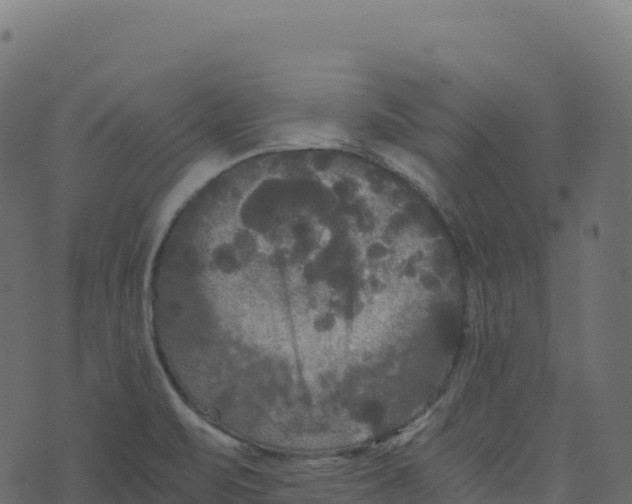 X0000073411471200608251512